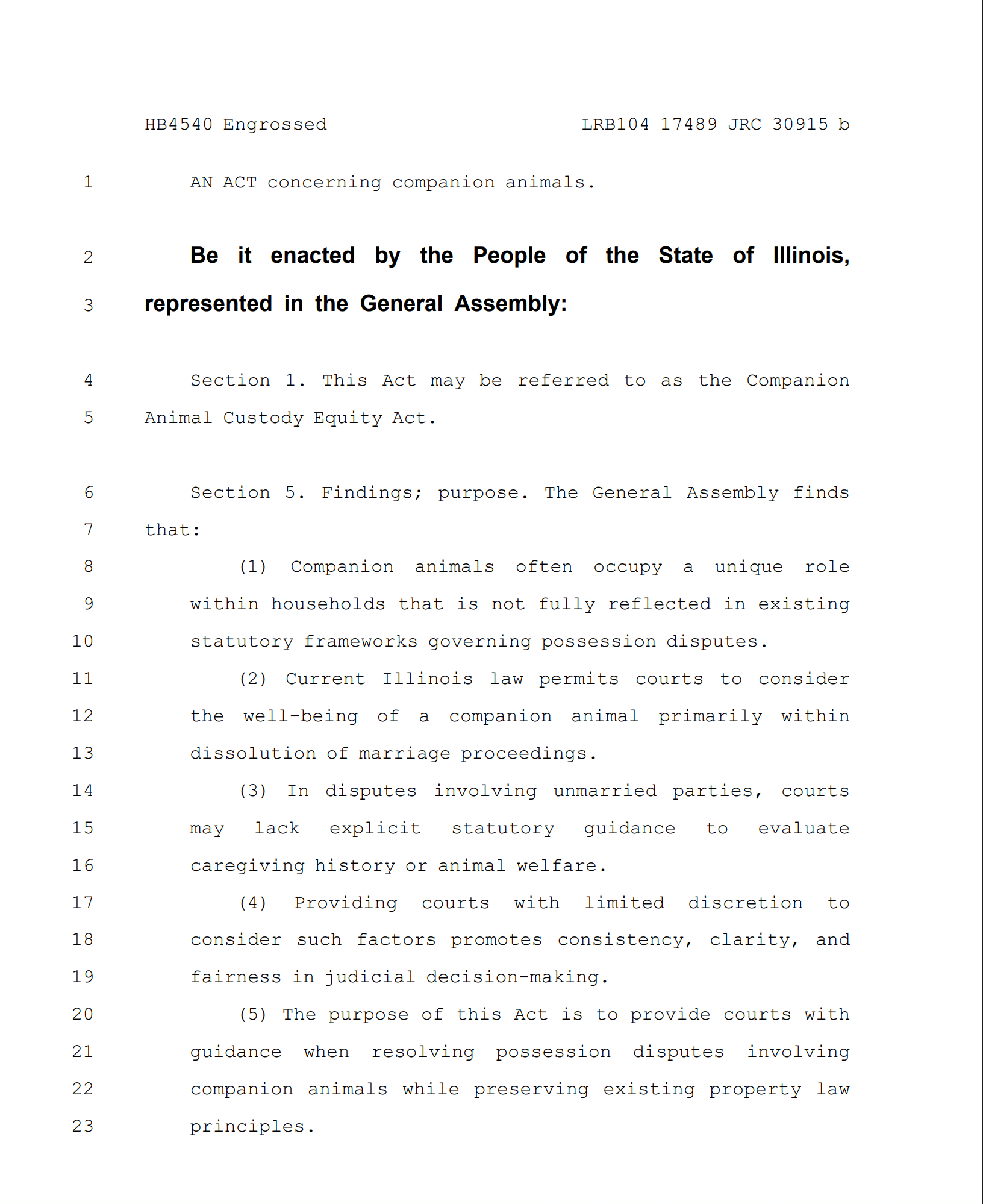 Illinois legislative bill HB4540, the Companion Animal Custody Equity Act, regarding animal possession disputes.