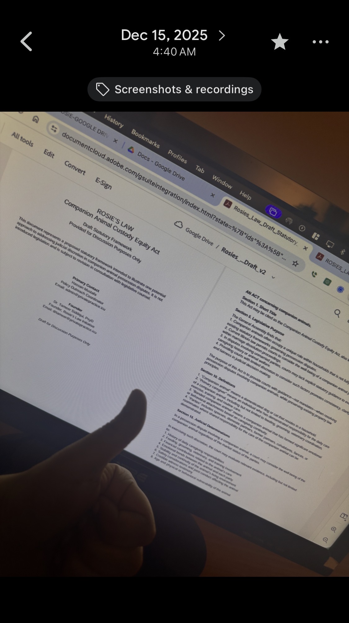 The first Companion Animal Custody Equity Act draft open on a laptop in December 2025